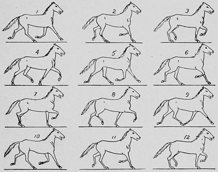 SOME CONSECUTIVE PHASES OF THE RACK.