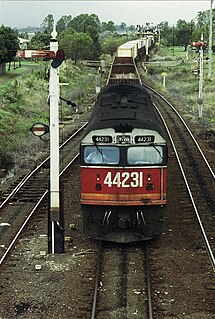 New South Wales 442 class locomotive