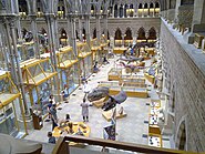 Galleries at the Museum of Natural History