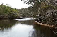 Donnelly River, approximately 6 km (3.7 mi) from mouth of river