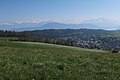 Dotteberg View over Adligenswil Swiss Alps.jpg