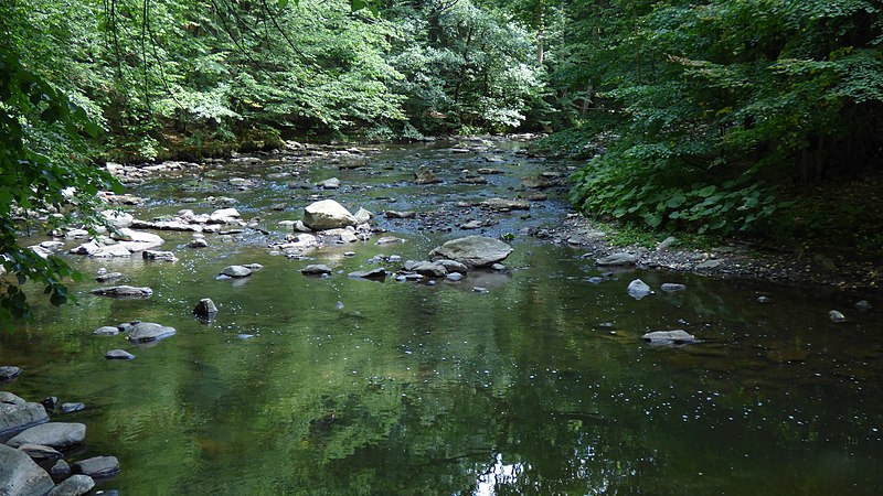 File:Doubrava mezi Třemošnicí a Ronovem - panoramio (17).jpg