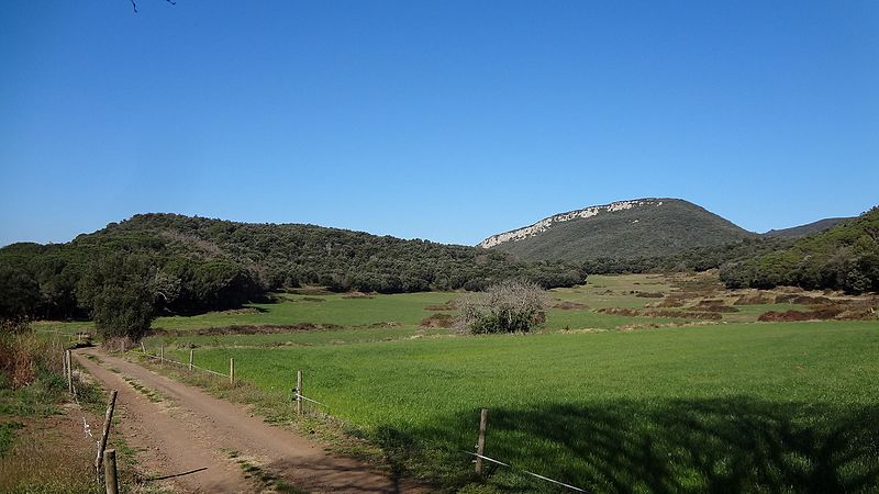 File:El Puig de la Banya del Boc 451m, el Volcà de la Banya del Boc i el Cingle de Rocafesa.JPG