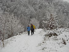 Es gibt kein schlechtes Wetter, es gibt nur schlechtes Schuhwerk! 20081214.JPG