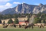 Thumbnail for Estes Park, Colorado