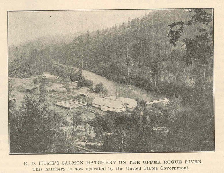 File:FMIB 44187 R D Hume's Salmon Hatchery on the Upper Rogue River This hatchery is now operated by the United States Government.jpeg