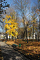 Fall in Kamianka Dekabrystiv Park.jpg