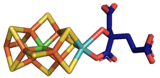 <span class="mw-page-title-main">Molybdenum in biology</span> Use of molybdenum by organisms