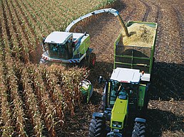 CLAAS tractor, CLAAS forage harvester Feldhaecksler-Mais.jpg