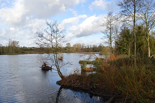 Felmersham Gravel Pits 17