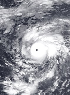 Typhoon Fengshen (2002)