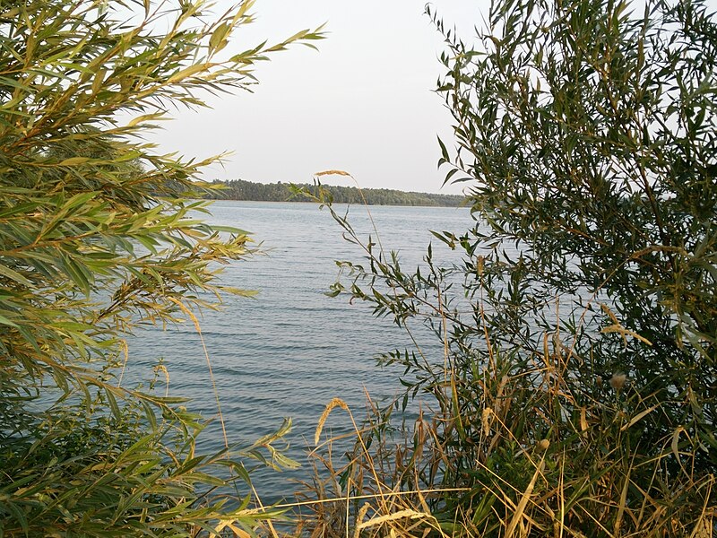 File:Fensterblick Stausee Oppershausen.jpg