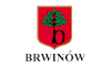 Flag of Brwinów district.gif