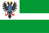 Flag of Čerņihivas apgabals