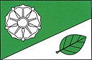 Flagg av Dudín