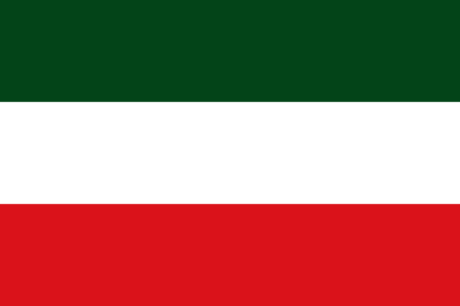 Флаг зеленый белый зеленый горизонтальные. Флаг Венгрии. Флаг Hungary. Венгрия флаг Венгрии. Флаг Советской Венгрии.