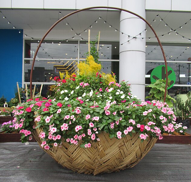 File:Flower baskets 11.jpg