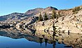 North aspect of Dicks Peak reflected in Fontanillis Lake