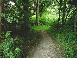 <span class="mw-page-title-main">Clapham Wood</span> Woodland area in Clapham, West Sussex, England