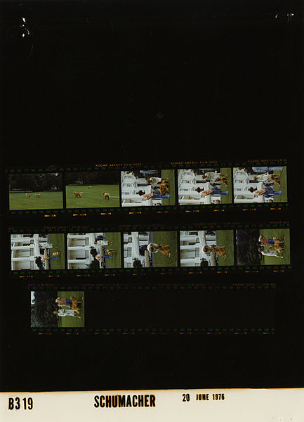 File:Ford B0319 NLGRF photo contact sheet (1976-06-20)(Gerald Ford Library).jpg