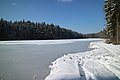 * Nomination Frozen pond in Kaiserwald, Styria --Clemens Stockner 13:19, 15 April 2018 (UTC) * Decline  Oppose Lack of sharpness. Sorry but this one is not a QI for me --Halavar 15:21, 15 April 2018 (UTC)