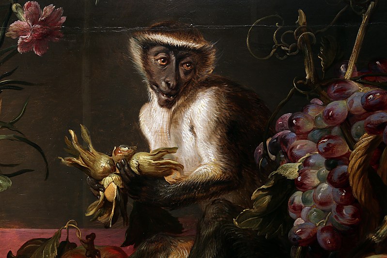 File:Frans snyders, natura morta con scimmie che rubano frutta, e vaso con garofani rosa, 02 scimmia con nocciole.jpg