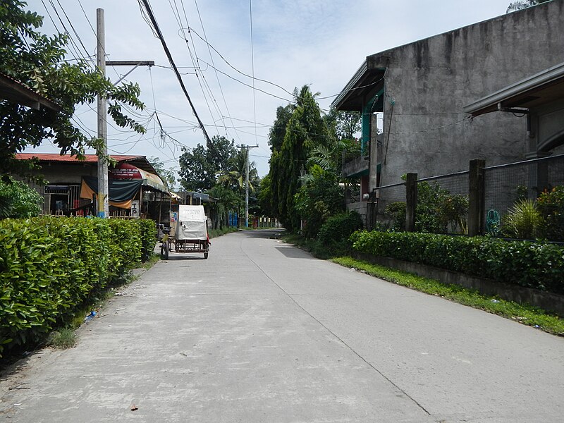 File:FvfCalumpangCal0222 09.JPG