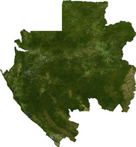Satellite image of Gabon.