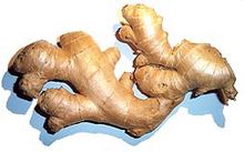 Dried ginger rhizome Gingembre.jpg