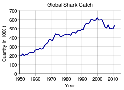 Grafik hiu tangkapan dari tahun 1950, pertumbuhan linear dari kurang dari 200.000 ton per tahun di tahun 1950 menjadi sekitar 500.000 di tahun 2011