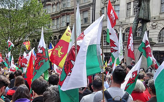Welsh independence campaign parade, Cardiff 2019.