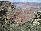 Grand Canyon 3-800.jpg