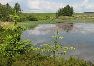 Gryffe Reservoir lake in the United Kingdom