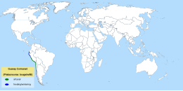 Mapa distribucije kormorana Guanay.svg