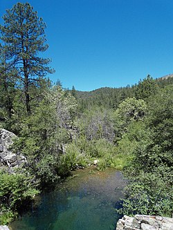 View above the creek