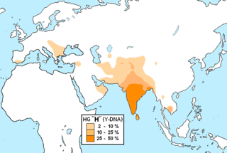 <span class="mw-page-title-main">Haplogroup H (Y-DNA)</span> Human Y-chromosome DNA haplogroup