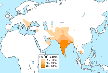 The most common paternal haplogroup among Romani is the South Asian Y-chromosome H, most commonly found among Dravidian peoples.[144]