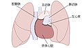 於 2019年5月31日 (五) 15:59 版本的縮圖