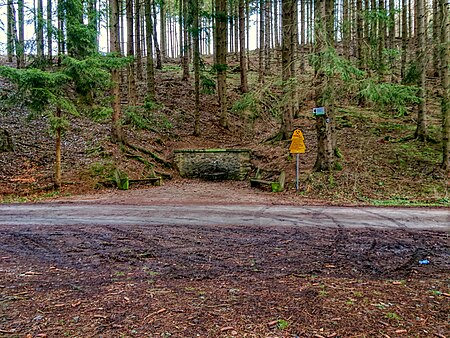 Heiligenbergsquelle im Unterharz