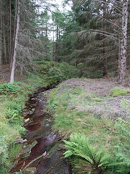 Hindhope Burn - geograph.org.uk - 522221