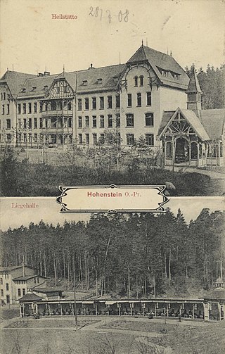 <span class="mw-page-title-main">Tuberculosis sanatorium Hohenstein</span> Hospital in Hohenstein, East Prussia