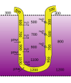 Countercurrent multiplier mechanism in loop of Henle