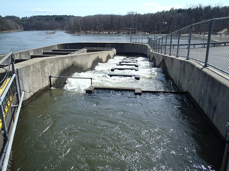 File:Ice Harbor fish ladder in VT 1 (9446864920).jpg