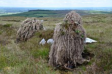 Two soldiers wearing ghillie suits for concealment while in sniper training Irish Army snipers.jpg