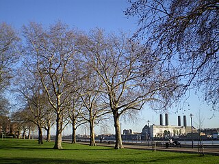 <span class="mw-page-title-main">Island Gardens</span>