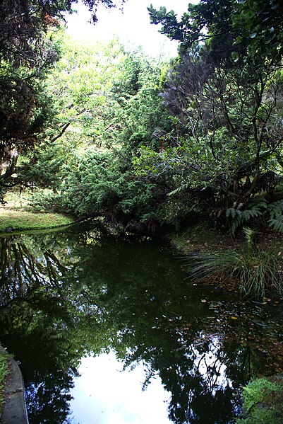 File:Jardim Botânico do Faial, 2 concelho da Horta, ilha do Faial, Açores, Portugal.JPG