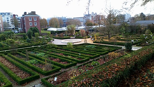 Jardin des plantes d'Amiens