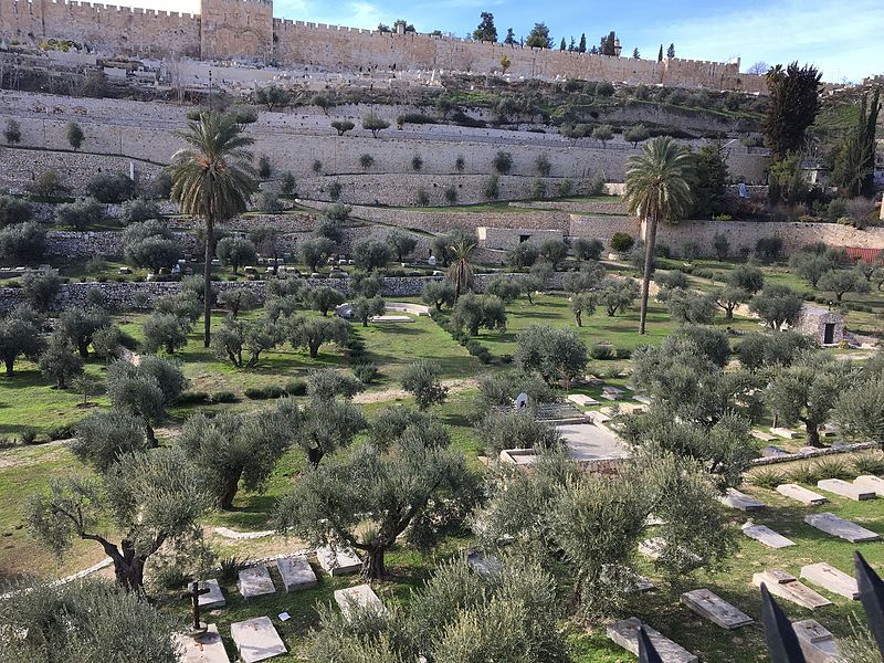 File:Jerusalem (32126317255).jpg