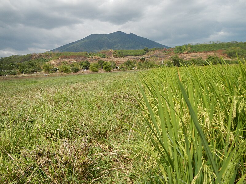 File:JfGatiawinHallArayat463fvf.JPG