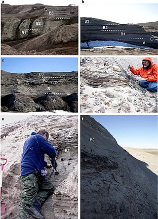 <span class="mw-page-title-main">Kap Kobenhavn Formation</span> Geologic formation in Greenland